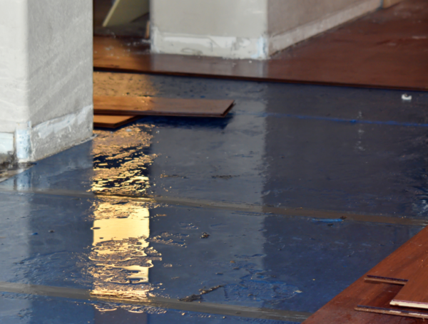 Water Damage: A Guide to Identifying, Addressing, and Repairing Structural Issues