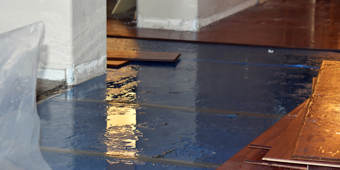 Water Damage: A Guide to Identifying, Addressing, and Repairing Structural Issues