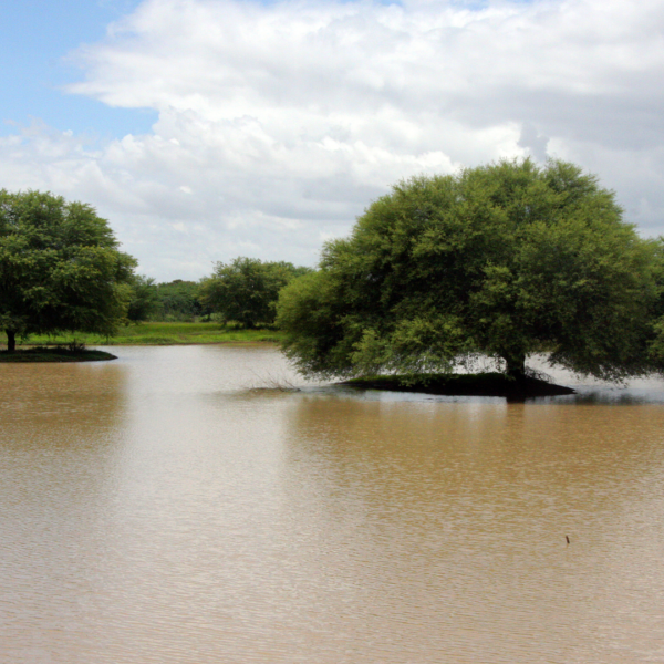 Structural site research on flood plains