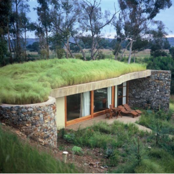 Stunning building with green roof planting