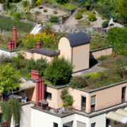 Green Roof Structural Recommendations by Ora Labora